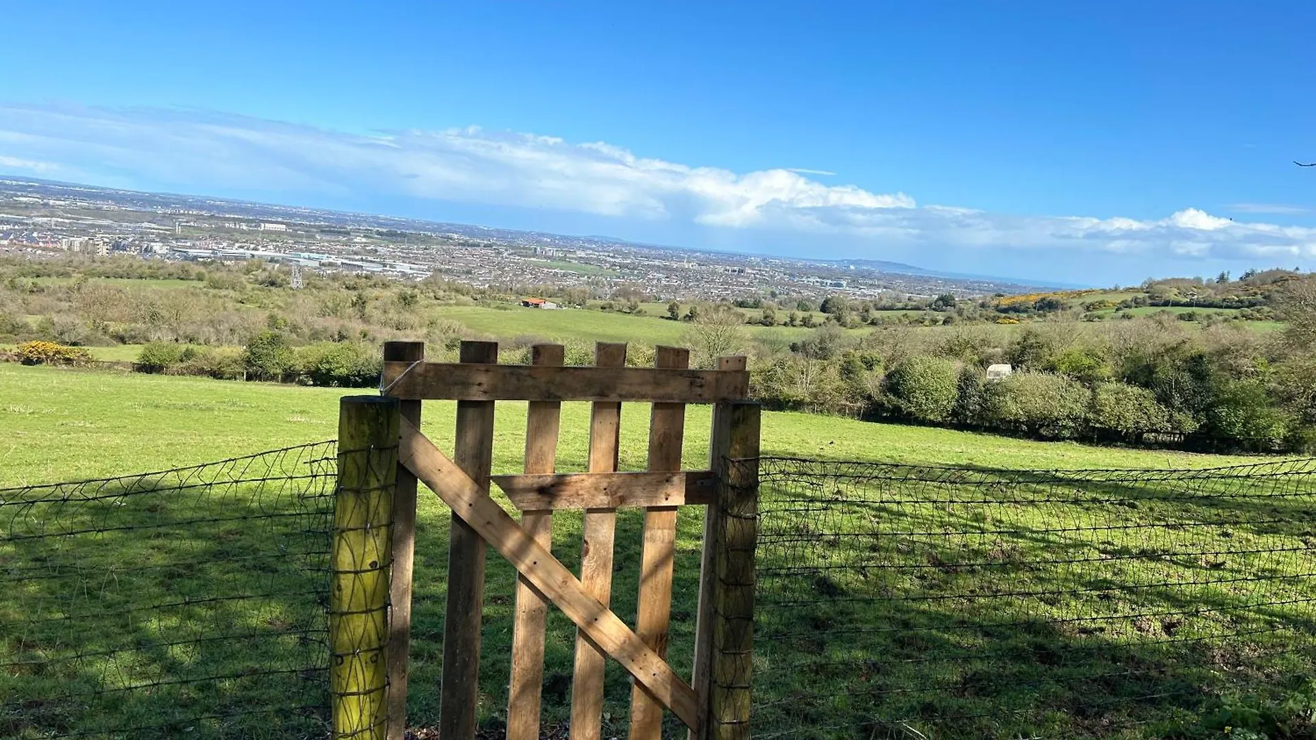 Sky Gazer Cabin In The Woods Dublin Holiday home